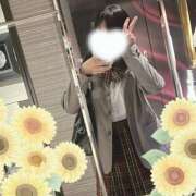 ヒメ日記 2024/12/22 08:15 投稿 ひまわり スパーク日本橋