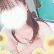 ヒメ日記 2024/12/29 23:25 投稿 ひまわり スパーク日本橋