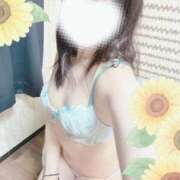 ヒメ日記 2024/12/31 17:50 投稿 ひまわり スパーク日本橋