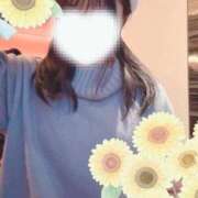 ヒメ日記 2024/12/31 22:15 投稿 ひまわり スパーク日本橋