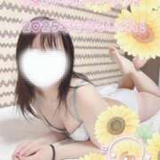 ヒメ日記 2025/01/01 12:03 投稿 ひまわり スパーク日本橋