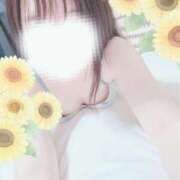 ヒメ日記 2025/01/02 14:09 投稿 ひまわり スパーク日本橋