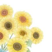 ヒメ日記 2025/01/15 23:46 投稿 ひまわり スパーク日本橋