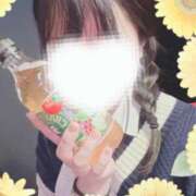 ヒメ日記 2025/01/16 08:30 投稿 ひまわり スパーク日本橋