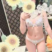 ヒメ日記 2025/01/23 11:49 投稿 ひまわり スパーク日本橋