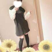 ヒメ日記 2025/01/24 18:45 投稿 ひまわり スパーク日本橋