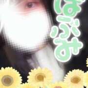 ヒメ日記 2025/02/02 10:00 投稿 ひまわり スパーク日本橋