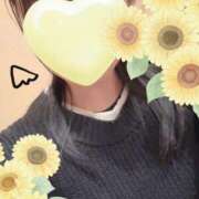 ヒメ日記 2025/02/05 17:51 投稿 ひまわり スパーク日本橋