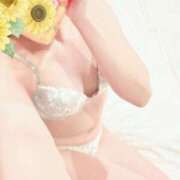 ヒメ日記 2025/02/13 12:45 投稿 ひまわり スパーク日本橋