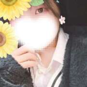 ヒメ日記 2025/02/13 17:15 投稿 ひまわり スパーク日本橋