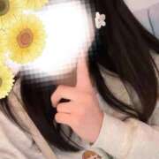 ヒメ日記 2025/02/15 21:29 投稿 ひまわり スパーク日本橋