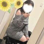 ヒメ日記 2025/02/23 14:42 投稿 ひまわり スパーク日本橋