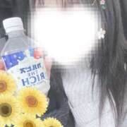 ヒメ日記 2025/02/25 12:45 投稿 ひまわり スパーク日本橋