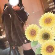 ヒメ日記 2025/03/21 15:08 投稿 ひまわり スパーク日本橋