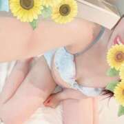 ひまわり 🌻成長中っ//// スパーク日本橋