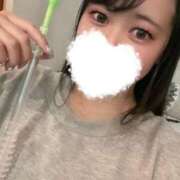 ヒメ日記 2025/12/11 13:20 投稿 【かほ】黒髪清楚のエロ天使 おねだり宮崎