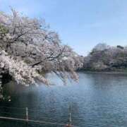 ヒメ日記 2025/04/08 11:02 投稿 るいな 奥様はエンジェル　国分寺店