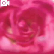 ヒメ日記 2024/12/21 23:55 投稿 さな バニラシュガー古河店