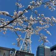 ヒメ日記 2025/04/07 12:20 投稿 あさひ チューリップ土浦店