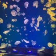 ヒメ日記 2025/11/08 17:08 投稿 あさひ チューリップ土浦店