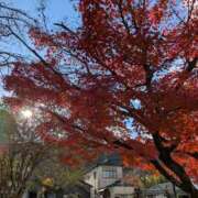 星川 今日も⭐ あなたに逢いたくて