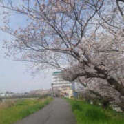 ヒメ日記 2025/04/08 16:07 投稿 ちさと YESグループ　華女