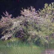 ヒメ日記 2025/04/22 20:49 投稿 ちさと YESグループ　華女