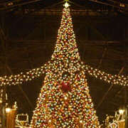 ちさと 昨日雨のディズニーランドで今夜はラストまで華女 YESグループ　華女