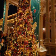 ヒメ日記 2025/12/20 23:50 投稿 ちさと YESグループ　華女