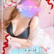 ヒメ日記 2024/12/15 00:28 投稿 則本 西川口デッドボール