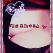 ヒメ日記 2025/01/25 21:18 投稿 則本 西川口デッドボール