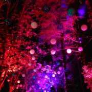 ヒメ日記 2024/12/15 07:43 投稿 れみ モアグループ川越人妻花壇