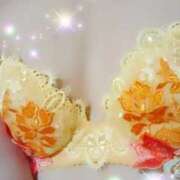 ヒメ日記 2024/12/29 13:28 投稿 れみ モアグループ川越人妻花壇