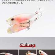 ヒメ日記 2025/09/25 08:45 投稿 れみ モアグループ川越人妻花壇