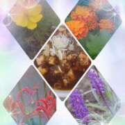 ヒメ日記 2025/10/09 12:58 投稿 れみ モアグループ川越人妻花壇