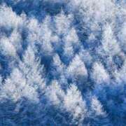 れみ 師走のような寒さ❄️🥶 モアグループ川越人妻花壇