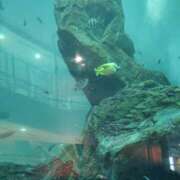 ヒメ日記 2025/03/04 08:47 投稿 なつみ エデンR