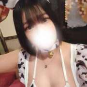 ヒメ日記 2025/06/29 17:28 投稿 なつみ エデンR