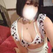 ヒメ日記 2025/07/19 06:33 投稿 なつみ エデンR