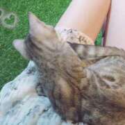 ヒメ日記 2024/12/22 09:14 投稿 真白 みゆ マーベリック横浜