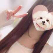 ヒメ日記 2025/01/12 09:14 投稿 真白 みゆ マーベリック横浜