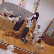 ヒメ日記 2025/01/13 09:14 投稿 真白 みゆ マーベリック横浜