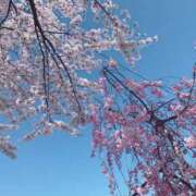 ヒメ日記 2025/03/23 09:14 投稿 真白 みゆ マーベリック横浜