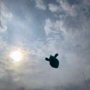 ヒメ日記 2025/08/13 00:04 投稿 真白 みゆ マーベリック横浜