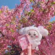 ヒメ日記 2026/03/22 09:10 投稿 真白 みゆ マーベリック横浜