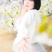 ヒメ日記 2025/04/14 13:30 投稿 あんな すごいエステ池袋店