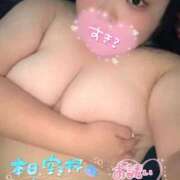 ヒメ日記 2025/05/27 17:44 投稿 なる 群馬伊勢崎ちゃんこ