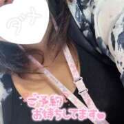 ヒメ日記 2025/08/23 09:37 投稿 なる 群馬伊勢崎ちゃんこ