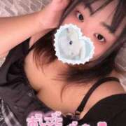 ヒメ日記 2025/08/25 12:47 投稿 なる 群馬伊勢崎ちゃんこ