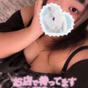 ヒメ日記 2025/08/25 22:07 投稿 なる 群馬伊勢崎ちゃんこ